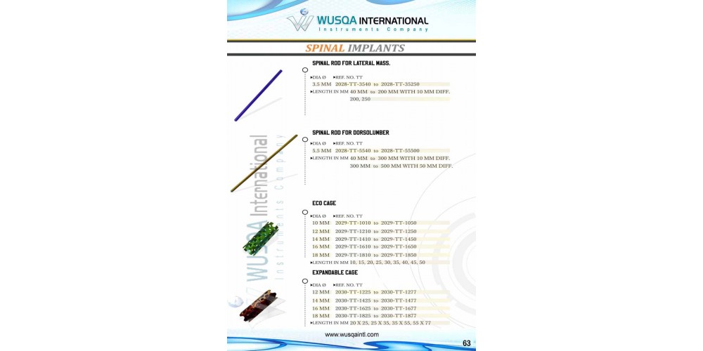 Spinal Implants